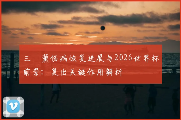 三笘薰伤病恢复进展与2026世界杯前景:复出关键作用解析